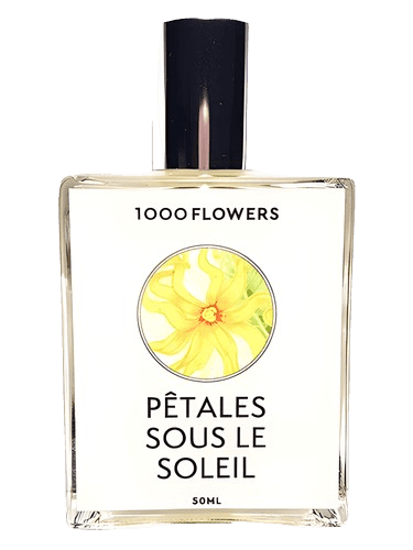 1000 Flowers Pêtales Sous Le Soleil