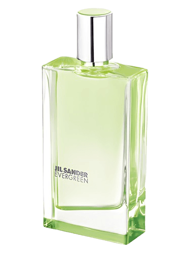 Jil Sander Evergreen