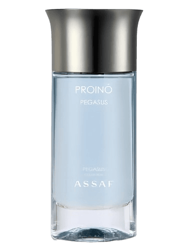 Assaf Pegasus Purino