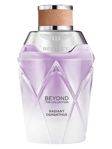 Bentley Radiant Osmanthus