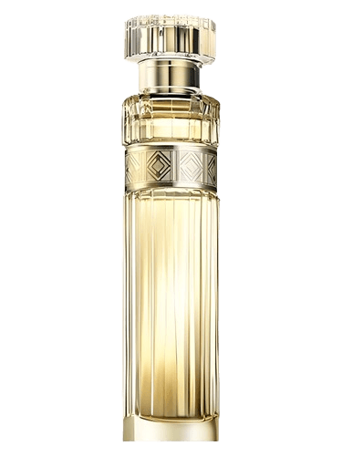 Avon Premiere Luxe