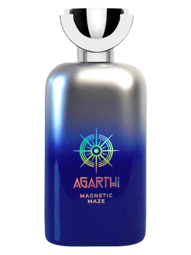 Agarthi Magnetic Maze