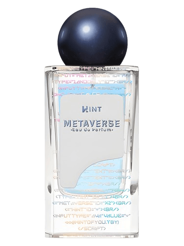 Hint Metaverse