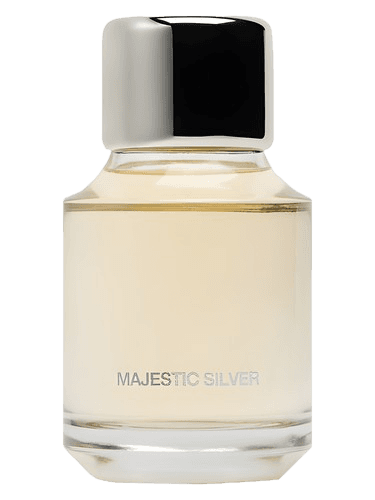Zara Majestic Silver