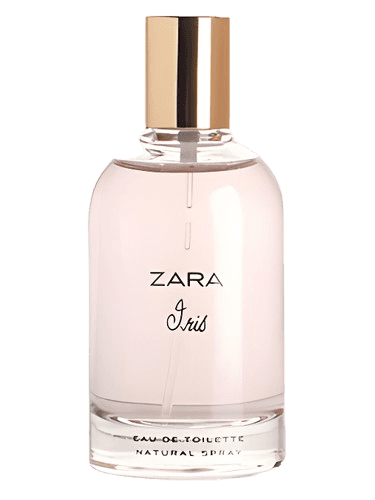 Zara Iris