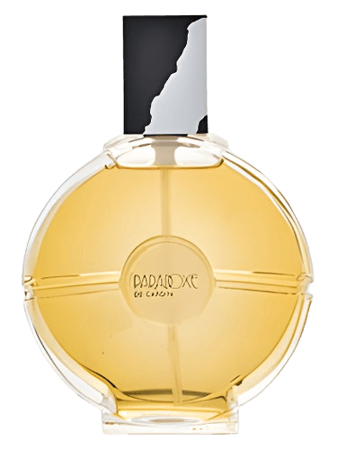 Pierre Cardin Paradoxe