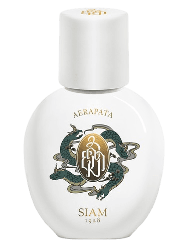 SIAM 1928 Aerapata