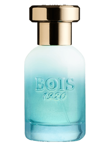 Bois 1920 Marasma