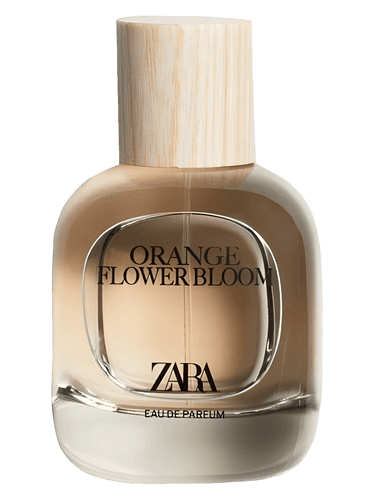 Zara Orange Flower Bloom