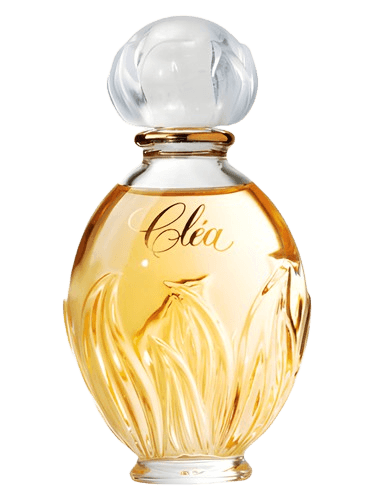 Yves Rocher Clea