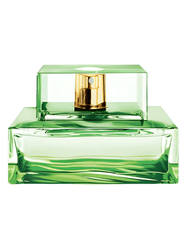 Michael Kors Island Palm Beach