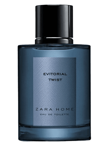 Zara Home Evitorial Twist