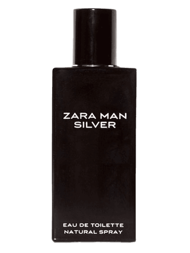 Zara Zara Man Silver