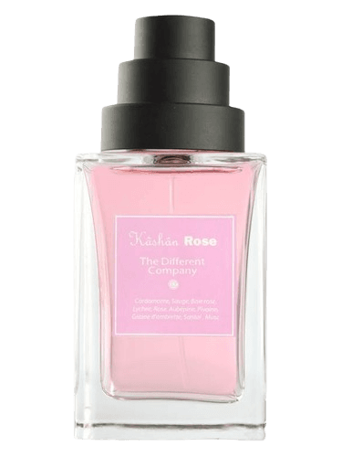 The Different Company Kâshân Rose