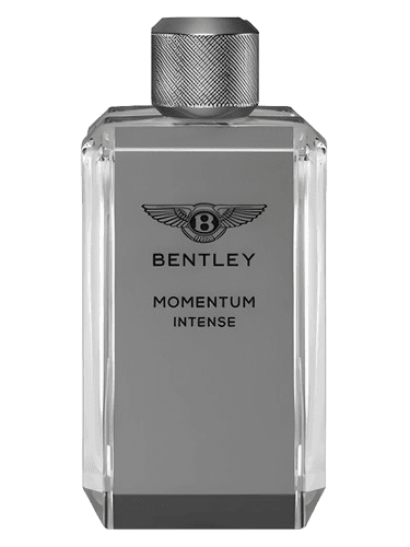 Bentley Momentum Intense