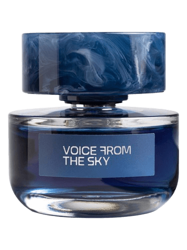 Voice From The Sky Voice From The Sky