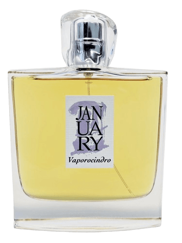 January Scent Project Vaporocindro