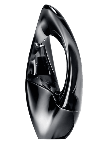 Donna Karan Woman