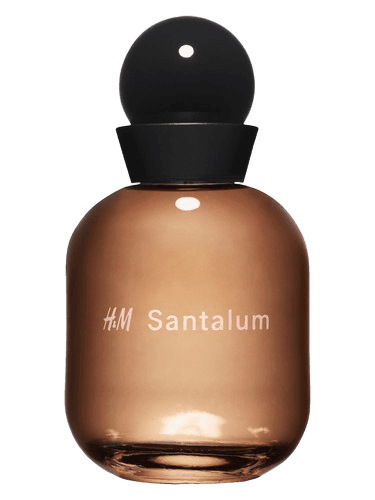 H&M H&M Santalum