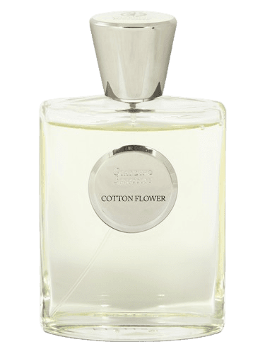 Giardino Benessere Cotton Flower