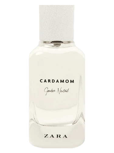Zara Cardamom - Gender Neutral