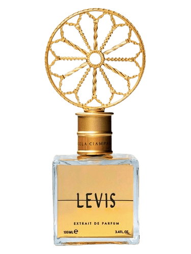 Angela Ciampagna Levis