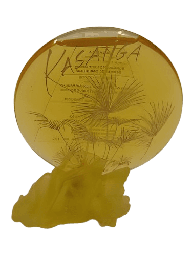 Pacoma Kasanga