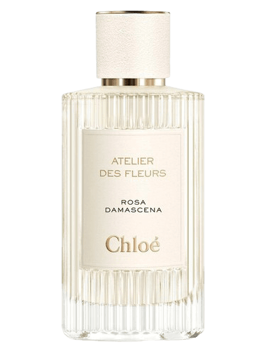 Chloé Rosa Damascena