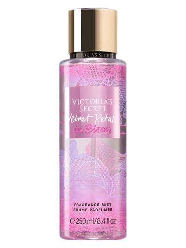 Victoria's Secret Velvet Petals in Bloom