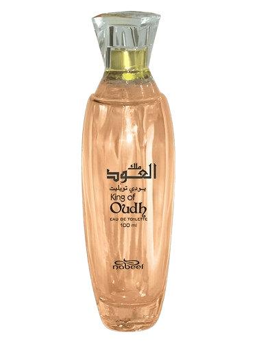 Nabeel King Of Oudh