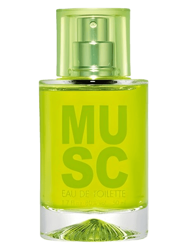 Solinotes Musc