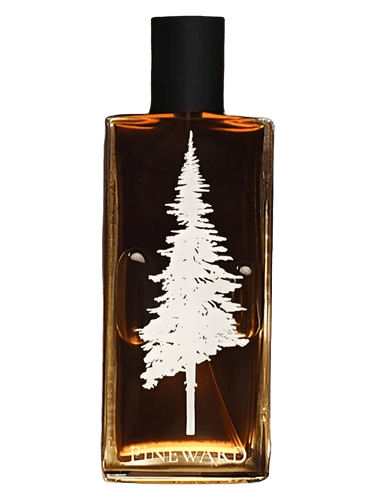 Pineward Perfumes Lime Cola