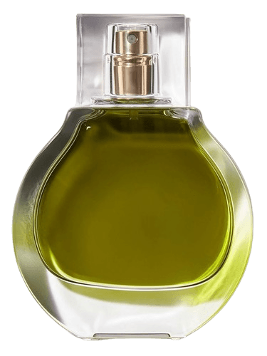 KKW Fragrance Olive