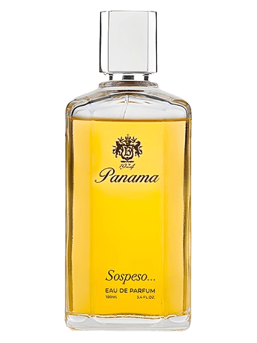 Panama 1924 Sospeso