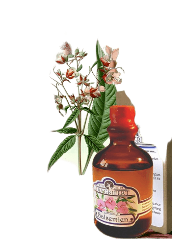 Fragrifert Parfumeur Balsemien