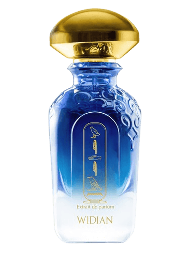 WIDIAN Aswan