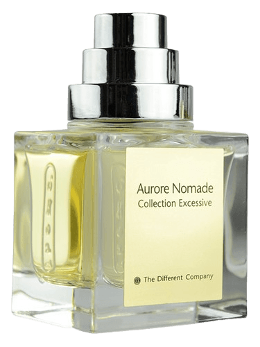 The Different Company Aurore Nomade