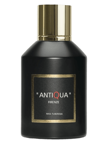 Antiqua Firenze Miss Tuberosa