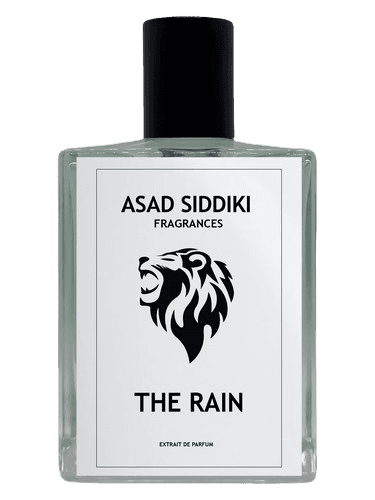 Asad Siddiki The Rain