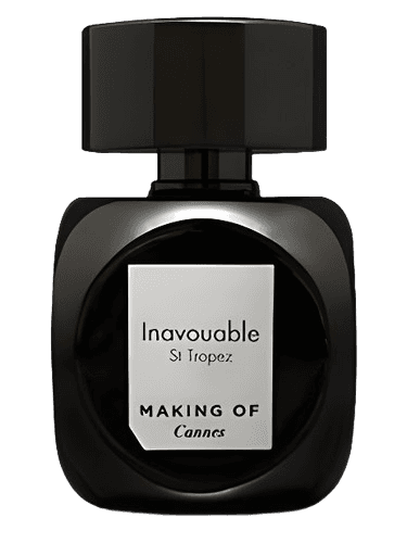 Making of Cannes Inavouable