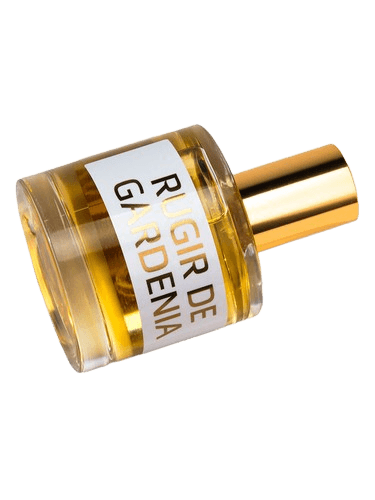 JD Jeffrey Dame JD Rugir de Gardenia