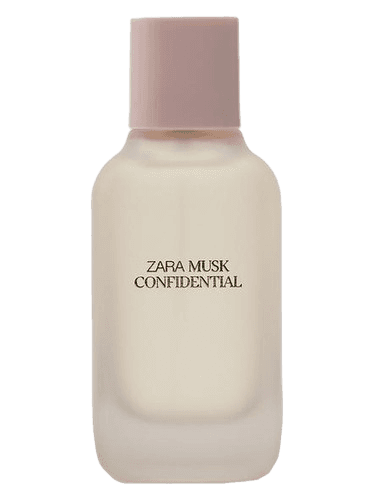 Zara Musk Confidential