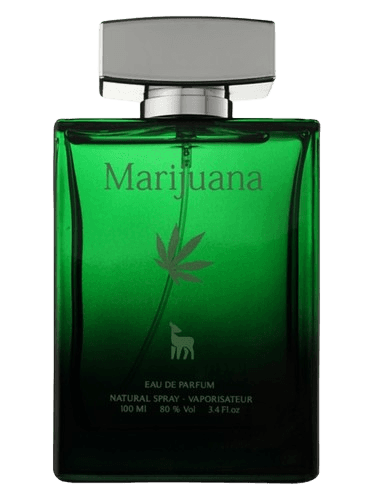 Kolmaz Marijuana