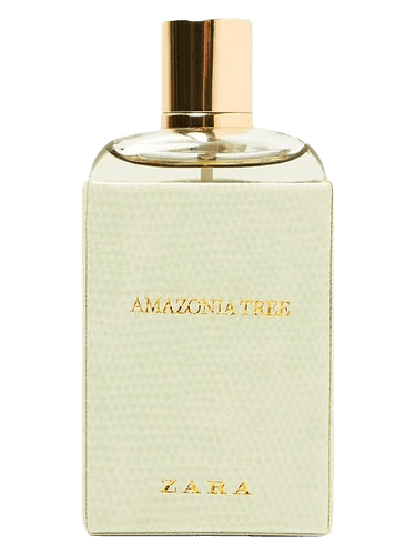 Zara Amazonia Tree