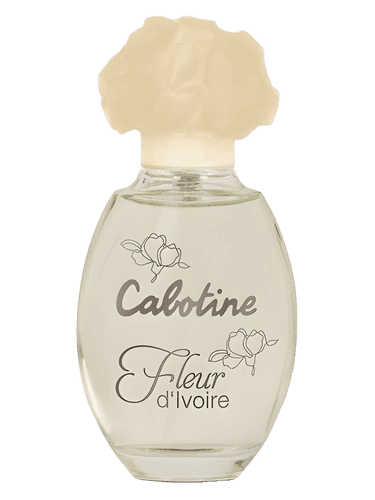 Grès Cabotine Fleur d’Ivoire