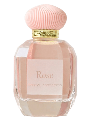 Pascal Morabito Sultan Rose