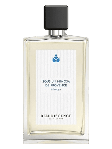 Reminiscence Sous un Mimosa de Provence