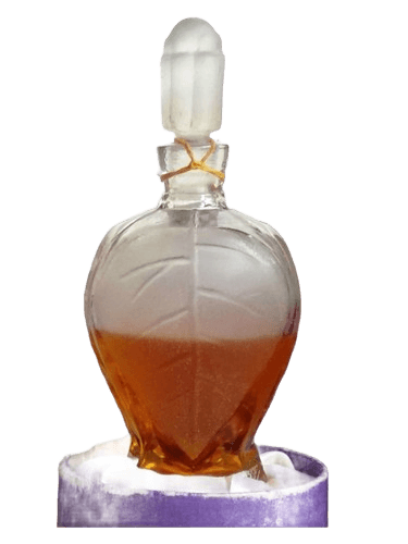 Dzintars Rīgas cēriņi (Рижская сирень)