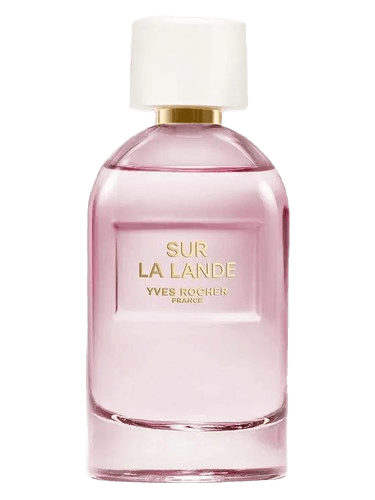 Yves Rocher Sur La Lande