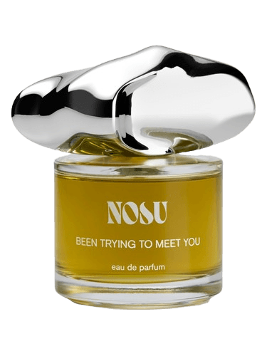 Nosu Been Trying To Meet You